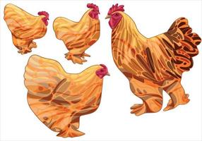 The hand drawn set of chicken. The breed of buff cochin vector
