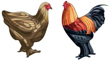 The hand drawn set of chicken. The breed of gold brahma vector