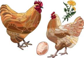 The hand drawn set of chicken. The breed of buff orpington vector