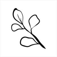 Hand drawn doodle branch. Minimalistic vector leaves. Botanical illustration.