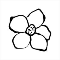 Hand drawn outline flower. Decorative floral element isolated on white background. Vector botanical illustration.