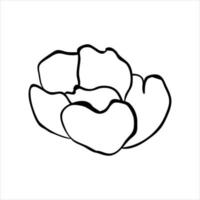 Hand drawn outline flower. Decorative floral element isolated on white background vector