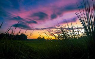 Dramatic evening sky in grassland photo