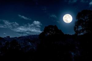 Night landscape in fprest with full moon and clouds photo