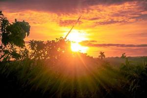 sunset over woodland with sunrays photo