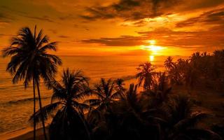 Tropical orange sunset sky landscape photo