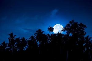 Full moon rising behind tropical forest photo