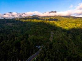 Mountain forest aerial shot with road photo