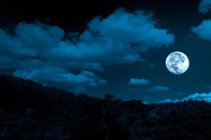 paisaje nocturno en fprest con luna llena y nubes foto