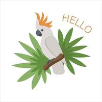 Cartoon bright cockatoo perrot with tropical leaves who says Hello vector