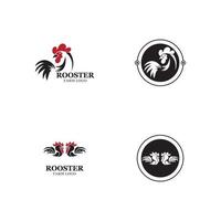 Rooster Logo Template vector