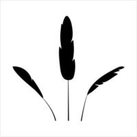 Set of black silhouettes of banana branches. Tropical leaves. Simple vector illustration.