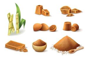 Jaggery Realistic Set vector