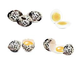 Quail Eggs Set vector