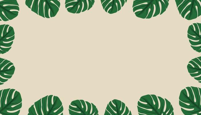 Tropical leaf monstera on beige background. Flat lay top view.