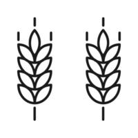 Farm wheat ears icon vector template.for organic eco business, agriculture, bakery, logo design. color editable