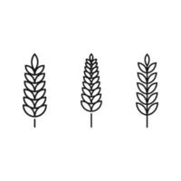 Farm wheat ears icon vector template.for organic eco business, agriculture, bakery, logo design. color editable