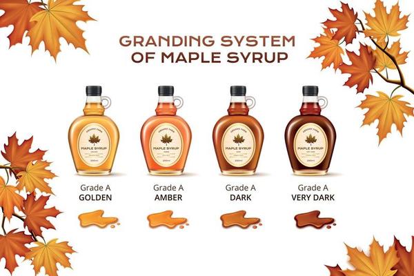 Maple Syrup Composition