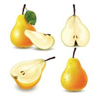 Realistic Pear Yellow vector