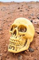 cráneo humano abandonado foto