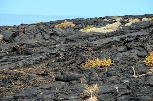 Dry Lava Texture photo