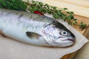 Raw trout on a board photo