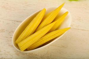 Young baby corn photo