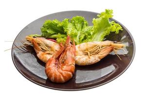 Boiled king prawns photo