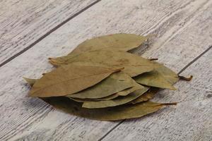 Dry laurel leaves photo