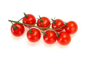 Ripe tomatoes on the branch photo