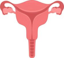 Female reproductive system semi flat color vector object