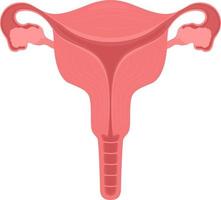 Female reproductive system semi flat color vector object