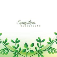 Modern spring green leaves background vector