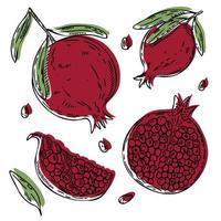 Vector Pomegranate set - slice, half, whole, and leaves, seeds. Red and green abstract hand-drawn fruit collection with black outline isolated on white background.