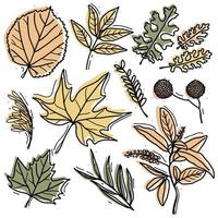 Autumn leaf set - sycamore, linden, ash, maple and other twigs. Leaves for patterns, stickers, prints and decor vector