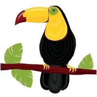 Vector illustration of fantastic colorful unusual bird in a vivid design. Tropical fauna style