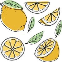 Vector lemon set, lemon, slice, half, whole, and leaves. Green abstract hand-drawn citrus collection with black outline isolated on white background.