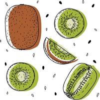 Vector kiwi set - kiwi, slice, half, whole, and leaves. Green and brown abstract hand-drawn citrus collection with black outline isolated on white background.