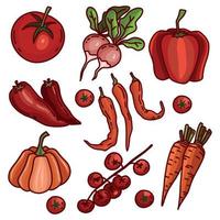 Vector set of red and orange vegetables - tomato, pepper, reddish, chily, carrot, pumpkin. Hand-drawn collection with black outline isolated on white background