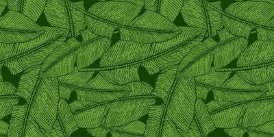 Banana leaf engraved seamless pattern. Retro tropical leaves green. vector