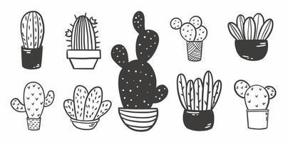Succulent cactus plant greenery illustration. prickly thorn drawing set vector