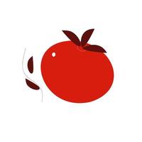 Red tomato,  hand drawn vegetable isolated on white background. Sketch doodld style vector collection.