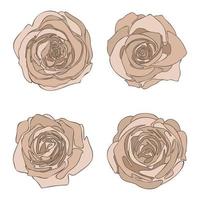 Hand drawn dusty rose roses flowers set, abstract blossom flowers collection isolated on the white background. Vintage botany decoration elements for florish design vector illustration.