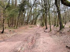 A view of the Cheshire Countryside at Peckforton Hills photo