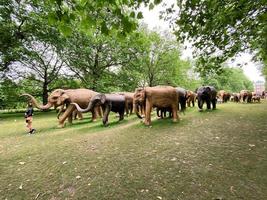 London in the UK in July 2021. A view of some Wooden Elephants in a park in London photo