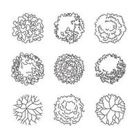 Set of Architectural Hand Drawn Tree vector