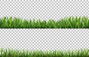 Set of Green Grass Transparent Background vector