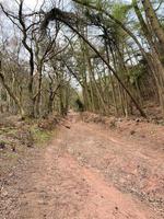 una vista de la campiña de cheshire en las colinas de peckforton foto