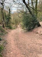 A view of the Cheshire Countryside at Peckforton Hills photo