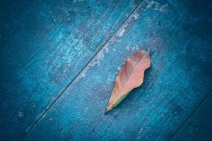 Top view of Autumn Leave over rustic wooden table background with Copy space photo